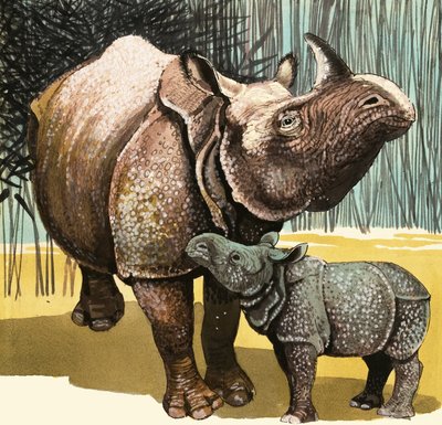 Neushoorn en babyneushoorn door English School