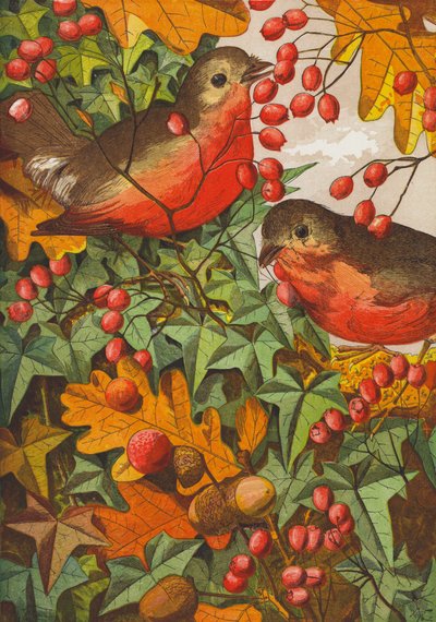 Roodborstjes (kleurenlitho) door English School