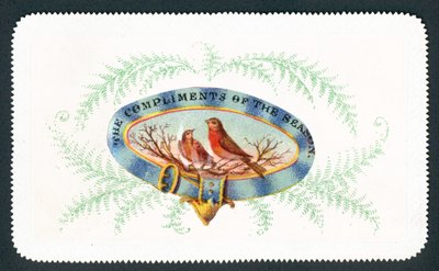 Roodborstjes in ovaal met varen, kerstkaart door English School