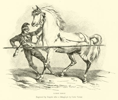 Romeins Paard door English School