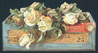 Rozen in sigarenkist, Kerstkaart door English School