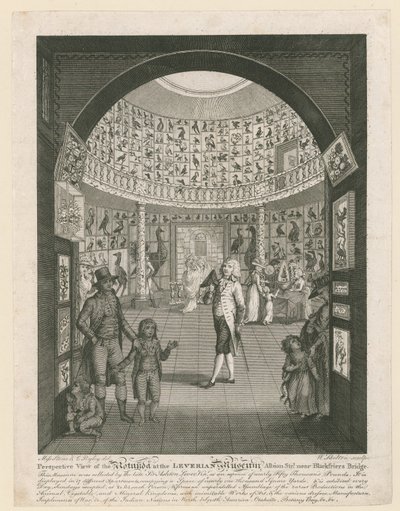 Rotunda in het Leverian Museum door English School