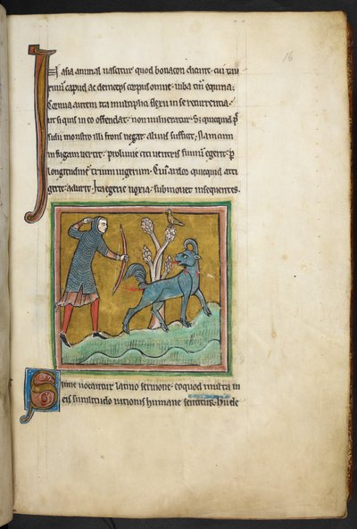 Royal 12 F.XIII, f.16 Een jager die een pijl op een dier schiet, Bestiarium (ff. 3-141), Lapidarium (ff. 141v-149), 2e kwart van de 13e eeuw door English School