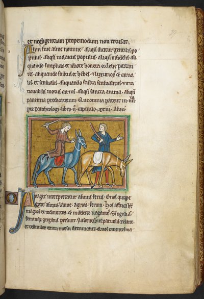 Royal 12 F.XIII, f.39 Twee mannen met twee mannen met ezels, uit Bestiarium (ff. 3-141), Lapidarium (ff. 141v-149), 2e kwart van de 13e eeuw (perkament) door English School