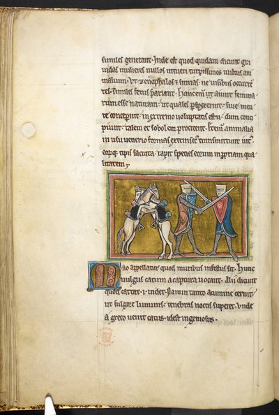 Royal 12 F.XIII, f.42v Twee ridders die te voet vechten met zwaarden, terwijl hun paarden elkaar bevechten op hun achterpoten, uit Bestiarium (ff. 3-141), Lapidarium (ff. 141v-149), 2e kwart van de 13e eeuw (perkament) door English School