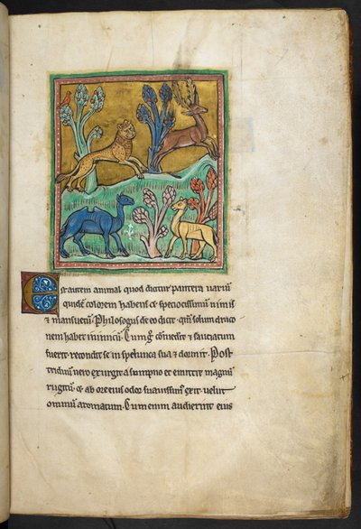 Royal 12 F.XIII, f.7 Een luipaard die een hert achtervolgt, met een kameel en een ander dier, uit Bestiarium (ff. 3-141), Lapidarium (ff. 141v-149), 2e kwart van de 13e eeuw door English School
