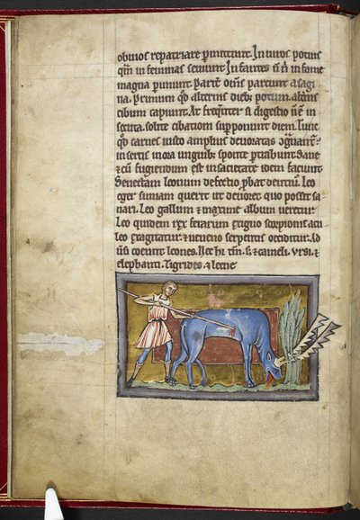 Antilope, uit 