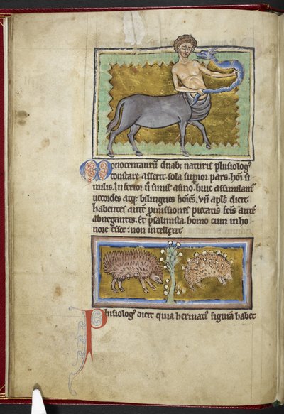 Centaur, uit 