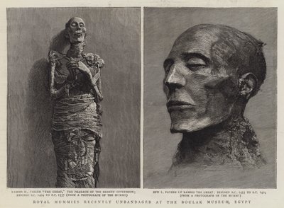 Koninklijke mummies onlangs ontbonden in het Boulak Museum, Egypte door English School
