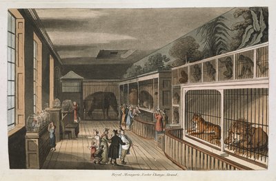 Koninklijke menagerie, Exeter (Change Exchange), Strand. Selecte uitzichten van Londen: met historische en beschrijvende schetsen van enkele van de meest interessante openbare gebouwen / samengesteld en gerangschikt door J.B. Papworth. John Buonarotti Papw door English School