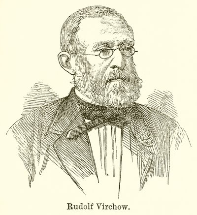 Rudolf Virchow door English School