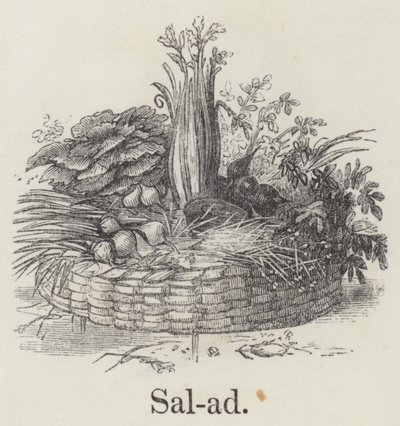 Salade door English School