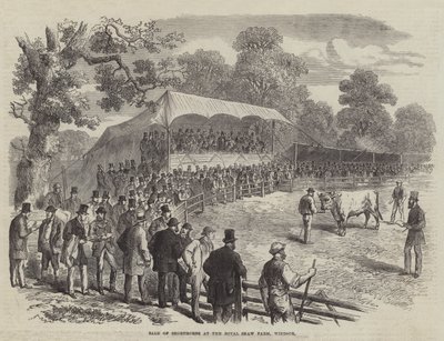 Verkoop van shorthorns op de Royal Shaw Farm, Windsor (gravure) door English School
