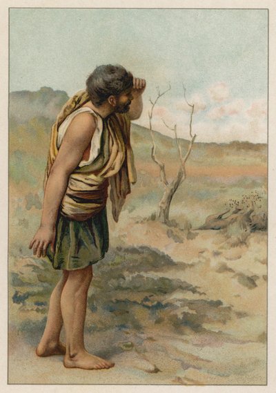 Samsom