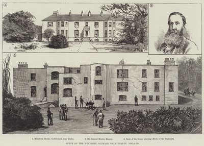 Scène van de Dynamietaanval nabij Tralee, Ierland (gravure) door English School