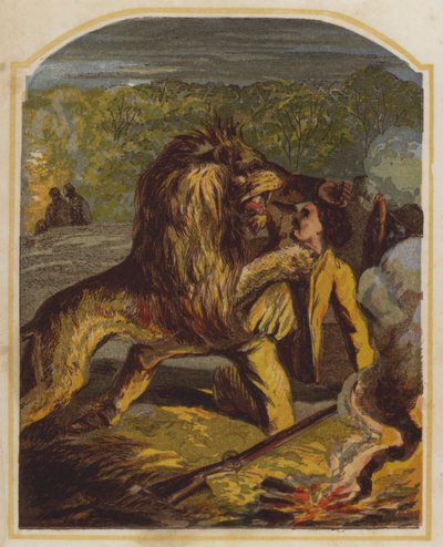 Schotse missionaris David Livingstone aangevallen door een leeuw in Afrika door English School