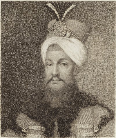 Selim II door English School