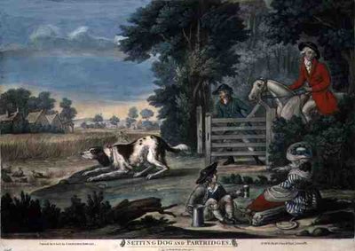 Staande Hond en Patrijzen, uitgegeven door Carington Bowles door English School