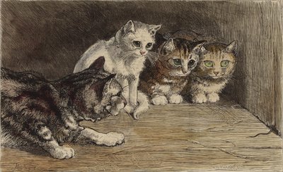 Meerdere katten kijken naar de staart van een muis (getinte gravure) door English School