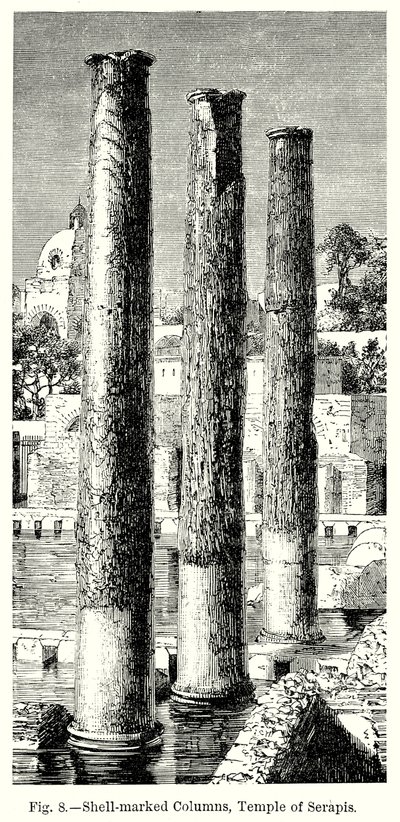 Met schelpen gemarkeerde zuilen, Tempel van Serapis (gravure) door English School