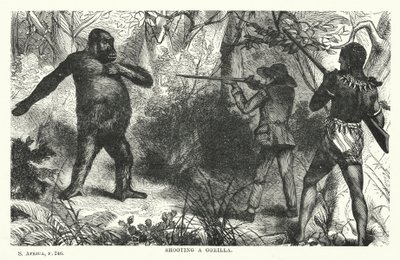 Een gorilla neerschieten door English School