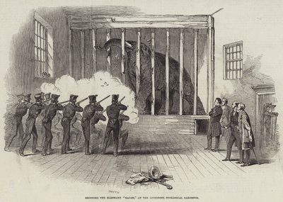 Het Schieten van de Olifant 