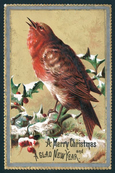 Zingende Roodborst, Kerstkaart door English School