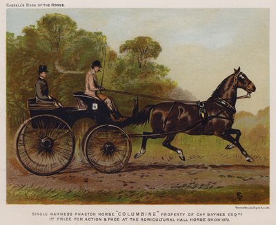 Enkelspan Phaeton-paard "Columbine," eigendom van Charles Baynes Esq door English School
