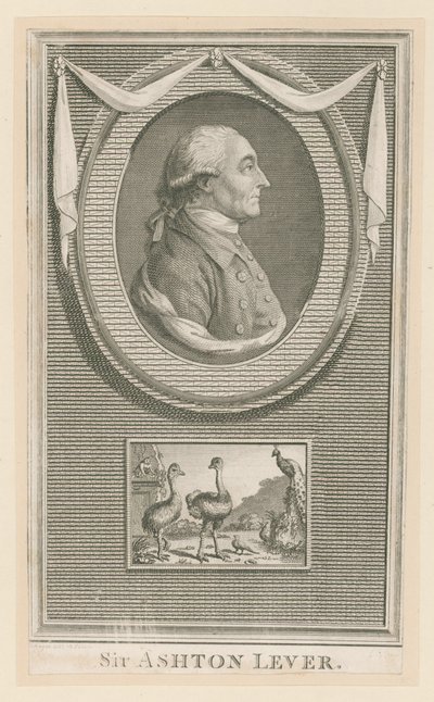 Sir Ashton Lever door English School