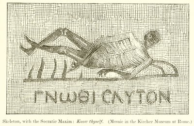 Skelet, met de Socratische spreuk: Ken uzelf. (Mozaïek in het Kircher Museum in Rome) door English School