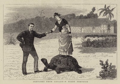 Schetsen uit Ceylon, een reuzenschildpad door English School