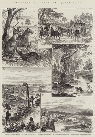 Schetsen van het Leven in Queensland door English School