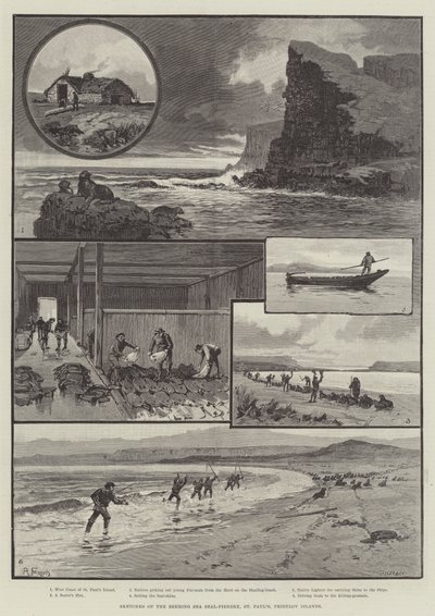 Schetsen van de Behringzee Zeehondenvisserij, St. Paul