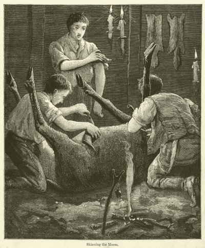 Het villen van de eland (gravure) door English School