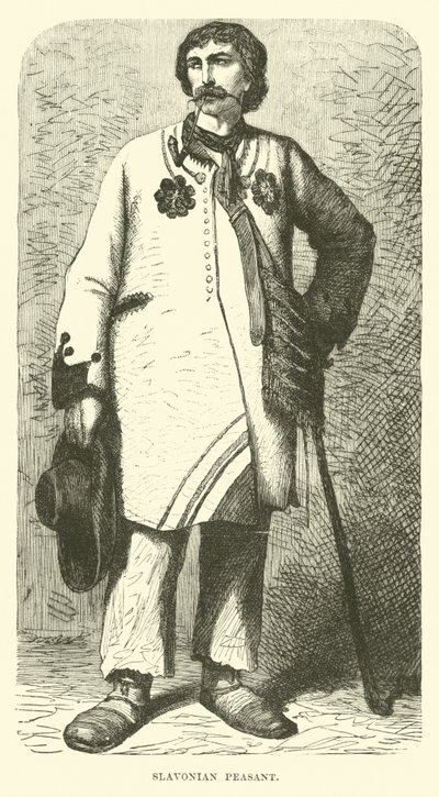Slavische boer door English School