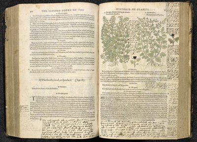 Ereprijs, pagina 500-501 uit 