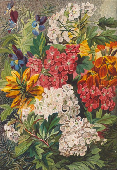 Lentebloemen (kleurenlitho) door English School