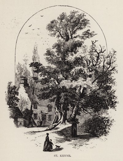 St Keyne (gravure) door English School