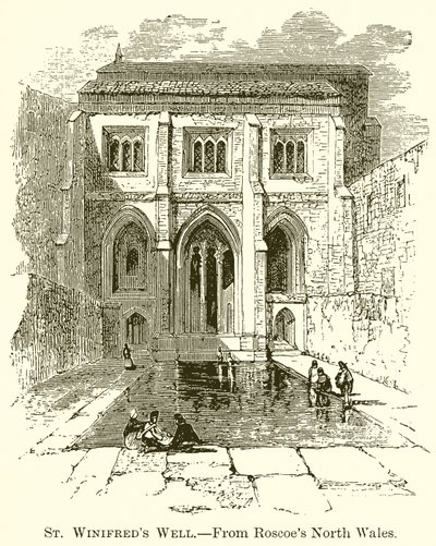 St. Winifreds bron door English School