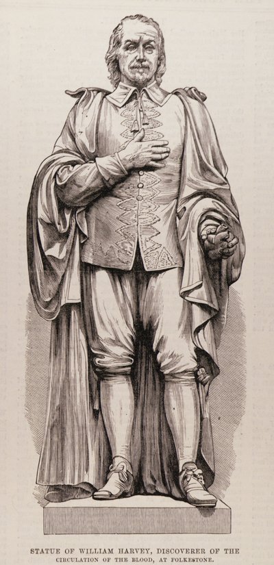 Standbeeld van William Harvey (1578-1657), Ontdekker van de Bloedsomloop, in Folkestone, uit The Illustrated London News, 13 augustus 1881 door English School