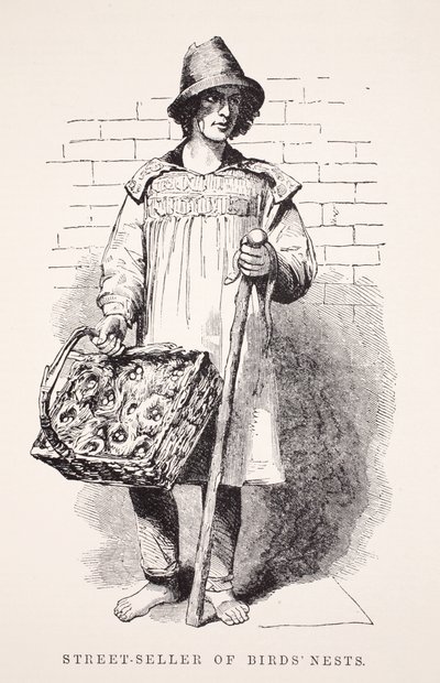 Straatverkoper van vogelnesten, illustratie uit London Labour and London Poor door Henry Mayhew, pub. 1862 door English School