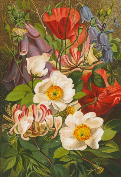 Zomerbloemen (kleurenlitho) door English School