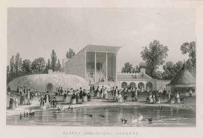 Surrey Zoologische Tuinen door English School