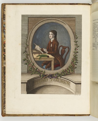 Sydney Parkinson, illustratie uit 