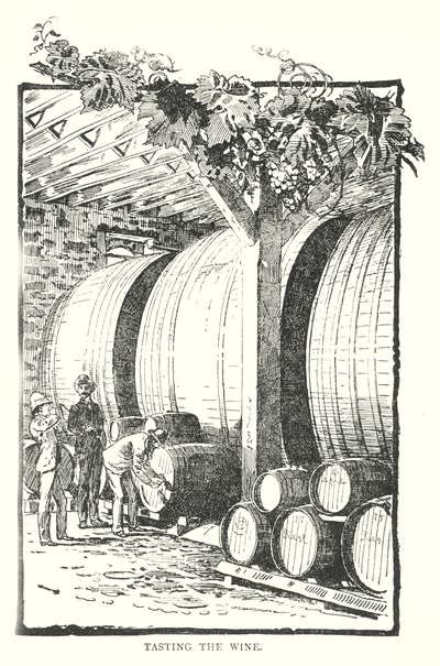De wijn proeven (gravure) door English School