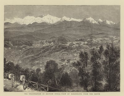 Theecultivatie in Brits-Indië, Uitzicht op Darjeeling vanuit het zuiden door English School