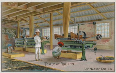 Theebladrollen, voor Nectar Tea Co, handelskaart door English School