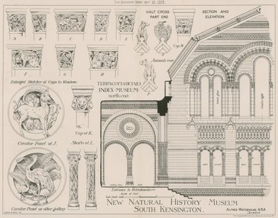 Terracotta details van het nieuwe Natuurhistorisch Museum, South Kensington door English School