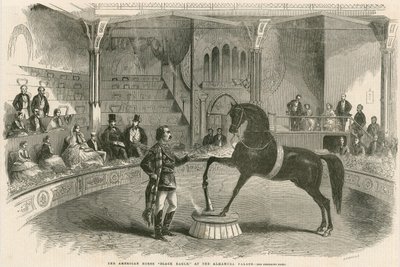 Het Amerikaanse paard Black Eagle in het Alhambra Palace (Alhambra Theater), Leicester Square, Londen door English School