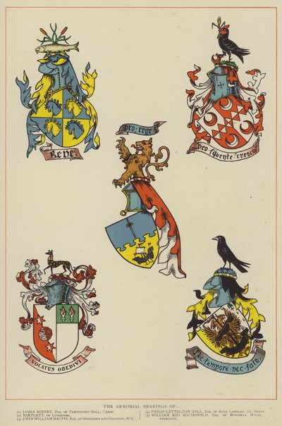 De Wapenschilden door English School